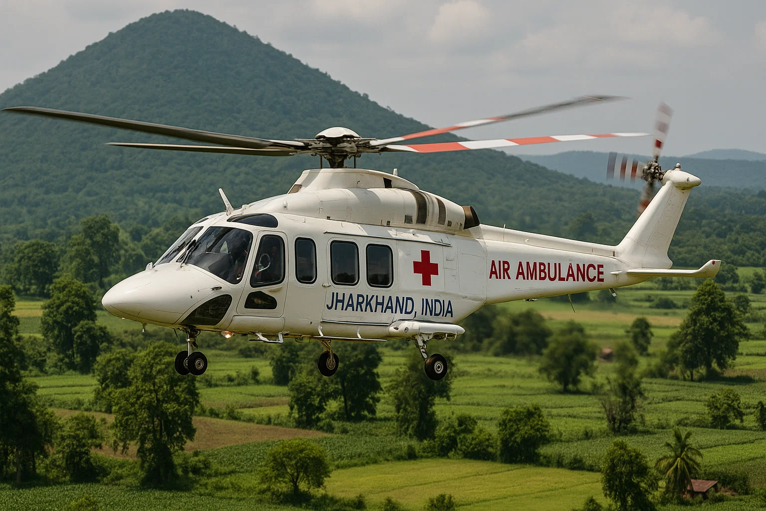 Air Ambulance (Across India)